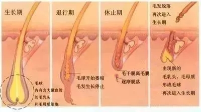 <a href='/suz/' target='_blank'><u>蘇州美萊</u></a>：反季脫毛優(yōu)惠，你值得擁有！