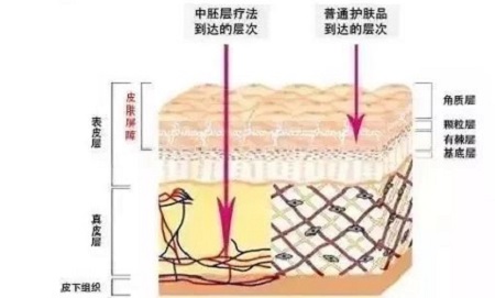 才是SK2+HR+Lamer組成的王炸！