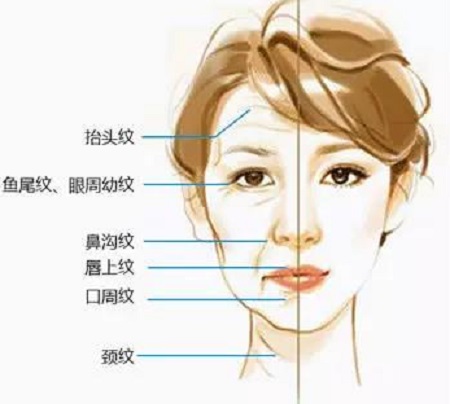 等我40歲了，再做除皺美容吧！結(jié)果……
