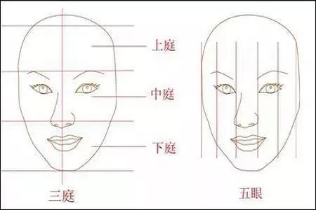 影響翹鼻較重要的地方。
