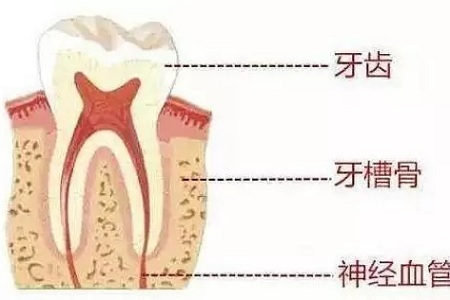 做牙齒矯正 ，真的要趁早！