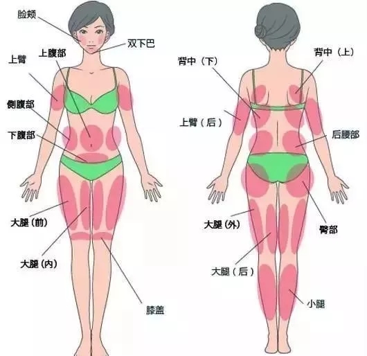 讓明星“一夜回春”的自體脂肪到底適不適合你？
