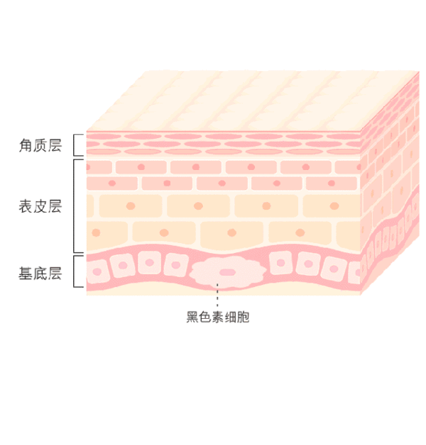 美萊實驗室：據(jù)統(tǒng)計90%的長斑都與夏天這一東西有關，你臉上的斑點是嗎？