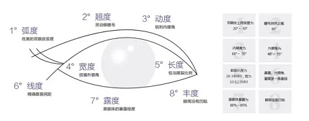 美眼張誠坐診美萊，淺談為什么你的眼睛不夠美？