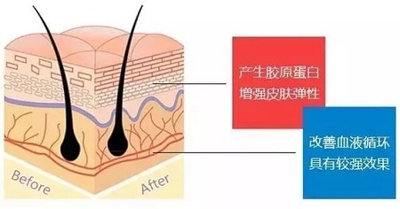 關于*雕，你想了解的都在這里！