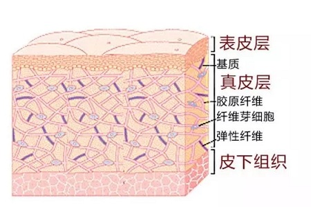 *雕