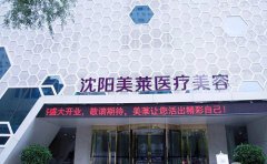 沈陽自體脂肪豐太陽穴哪個正規(guī)醫(yī)院做的自然？推薦實(shí)力醫(yī)院美萊！